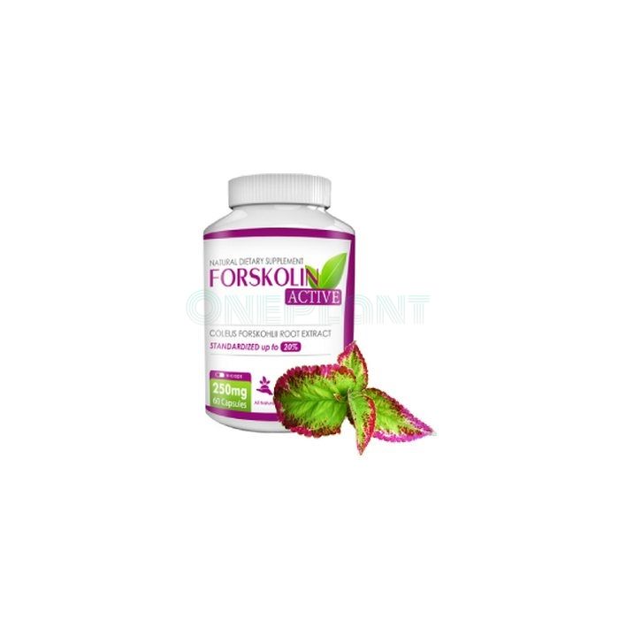 Forskolin active - hubnutí kapsle v Brně