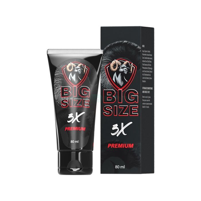 Big Size - pour augmenter la puissance à Valence